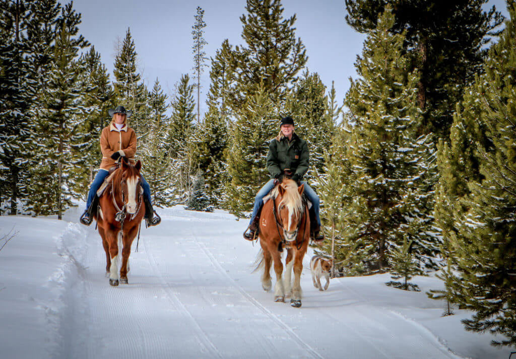 HorsebackridingnearSofia