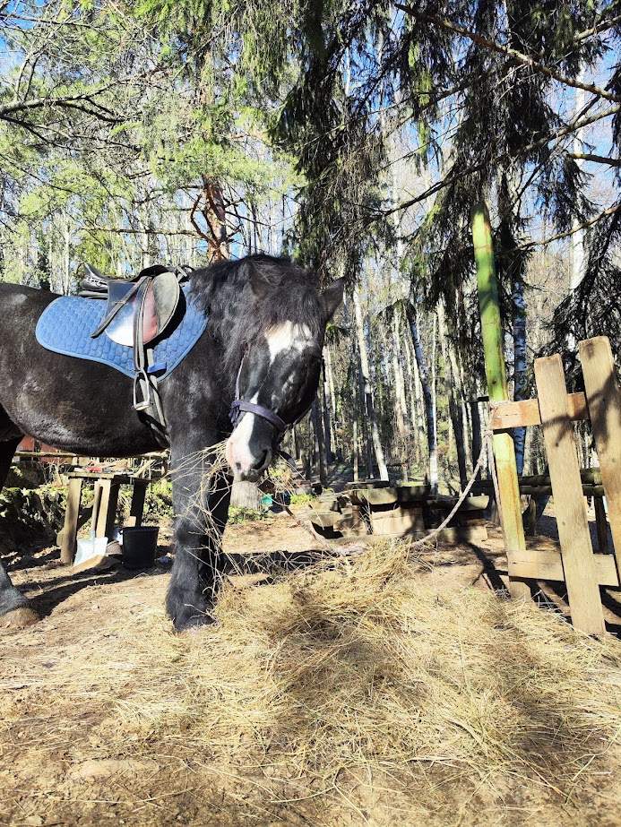 winter horseback riding