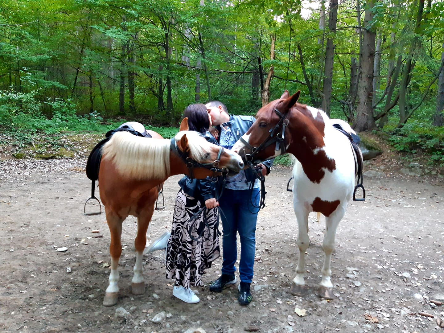 horse riding for two sofia