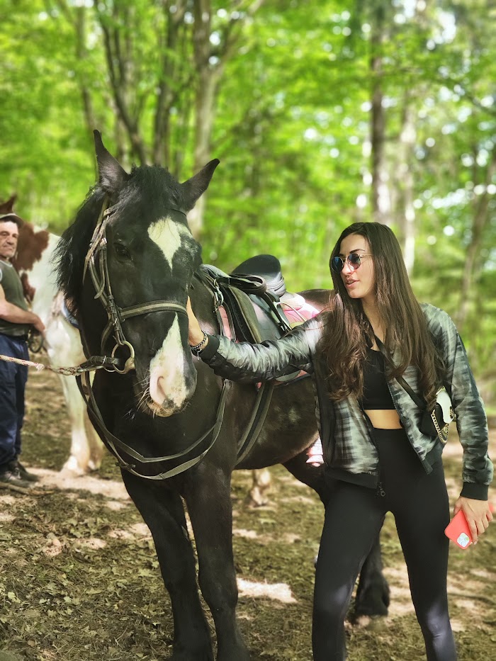 horse riding in nature