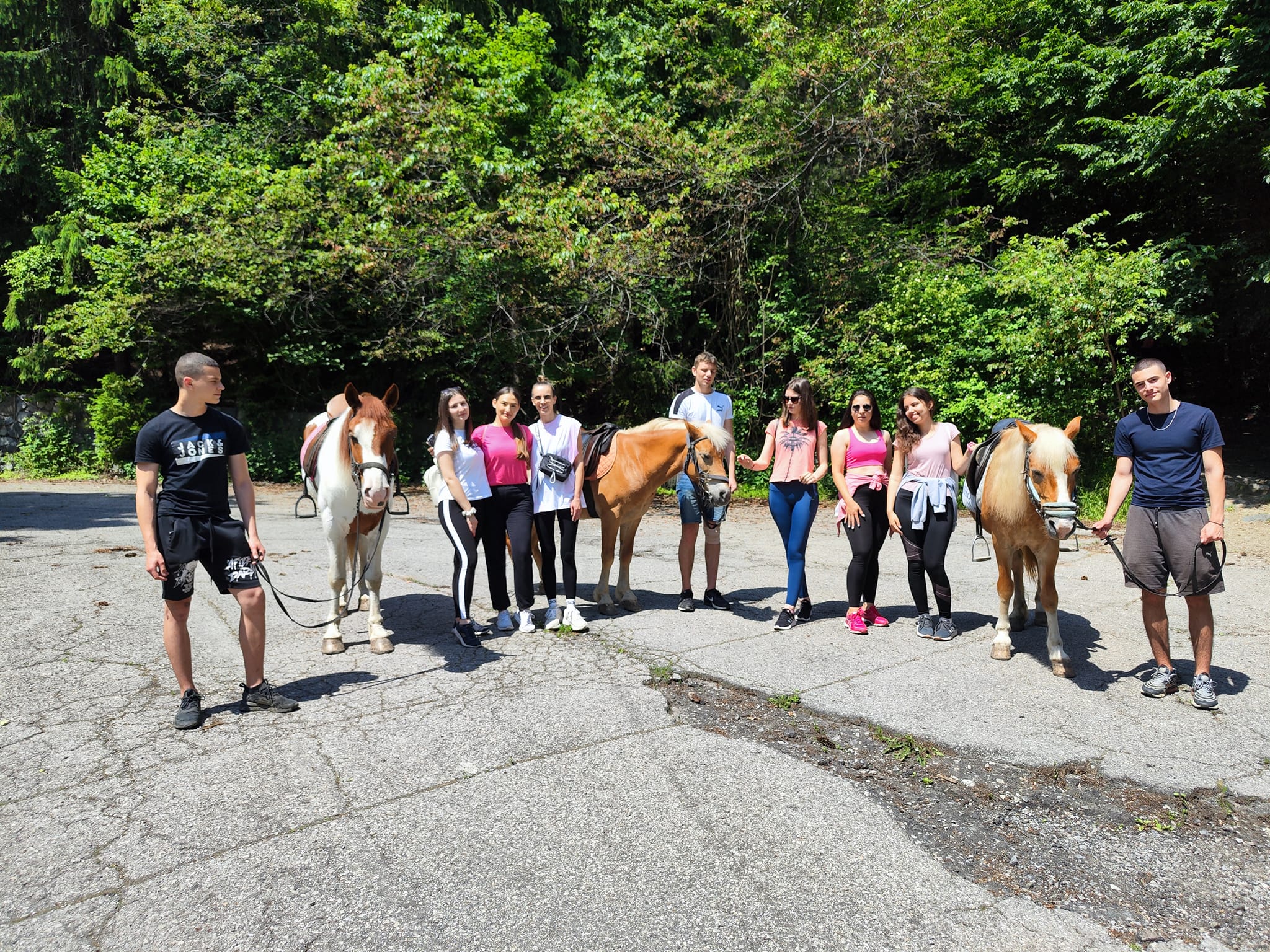 horse riding in vitosha horse riding in vitosha