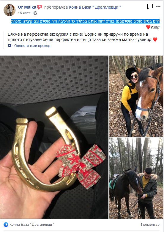 horse riding israel