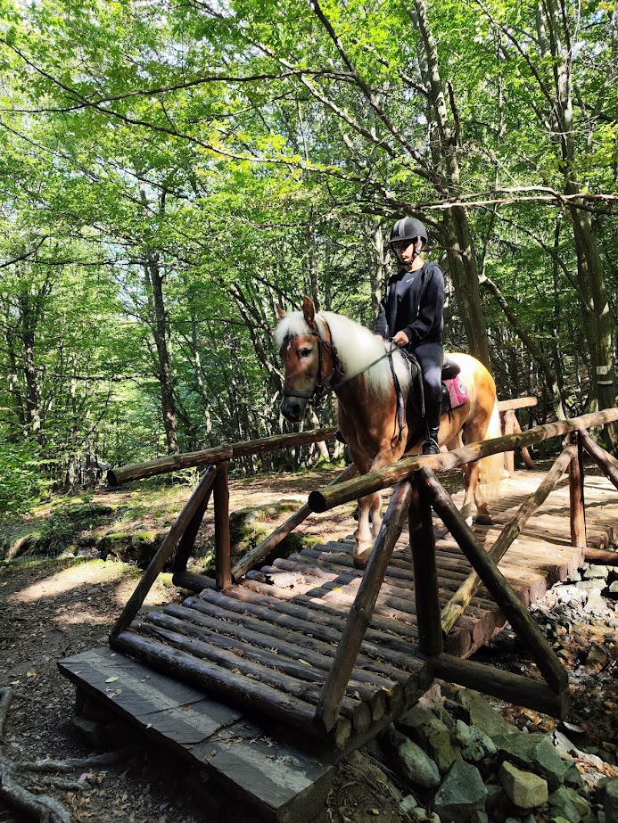 horse riding vitosha